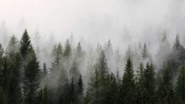 image of foggy