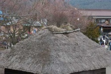 image of thatch