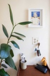 image of house_plant