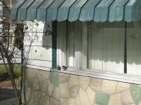 image of window_shade