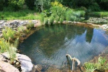 image of pond