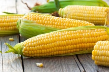 image of sweetcorn #24