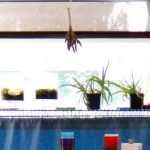 image of material