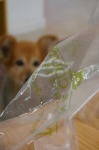 image of plastic_bag