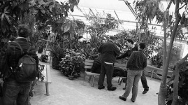 image of greenhouse