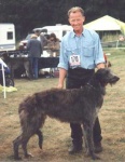 image of scottish_deerhound #3