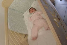 image of cradle