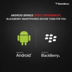 image of blackberry
