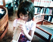 image of panpipe