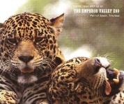 image of jaguar_car