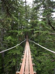 image of suspension_bridge
