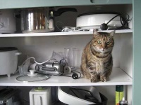image of crock_pot