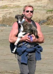 image of whippet