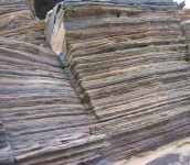 image of texture
