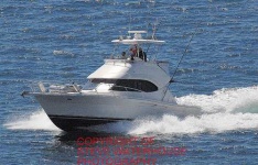 image of speedboat