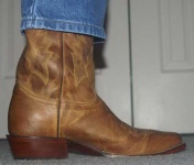 image of cowboy_boot #2