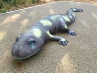 image of animal