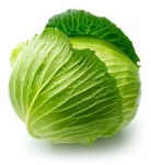 image of cabbage #19