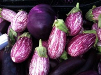 image of eggplant #22