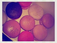 image of food