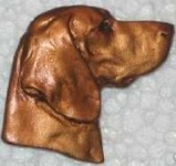 image of vizsla #30