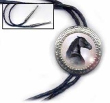 image of bolo_tie