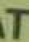 image of char