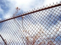 image of chainlink_fence