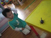 image of rhinoceros_beetle