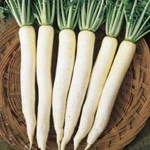 image of fruit_and_vegetable
