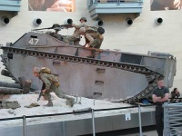 image of amphibian