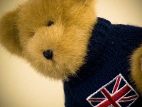 image of teddy