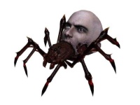 image of animal
