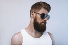 image of beard #31