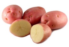 image of potato #32