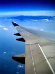 image of wing
