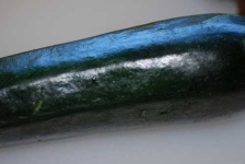 image of zucchini