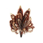 image of feather