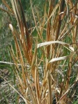 image of texture