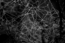 image of texture