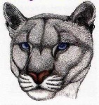 image of cougar_face