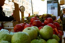 image of custard_apple