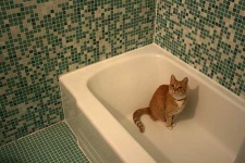 image of bathtub