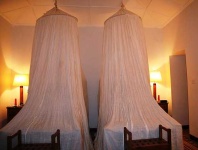 image of mosquito_net