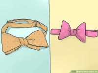 image of bowtie