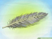 image of feather