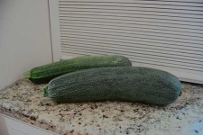 image of zucchini #4