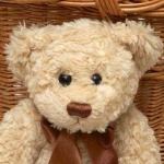 image of teddy_bear