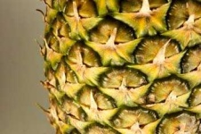 image of pineapple