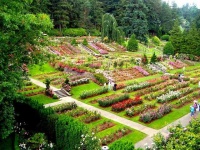 image of garden